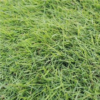 泰安地漏疏通价格哪家便宜？泰安地漏疏通哪家